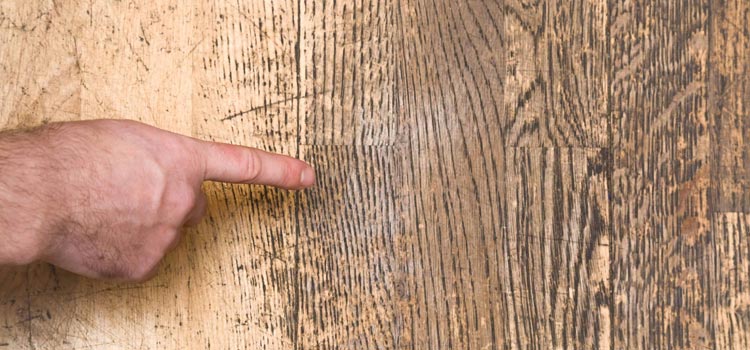 Wood Door Scratch Repair in San Leandro